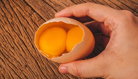 manfaar kuning telur